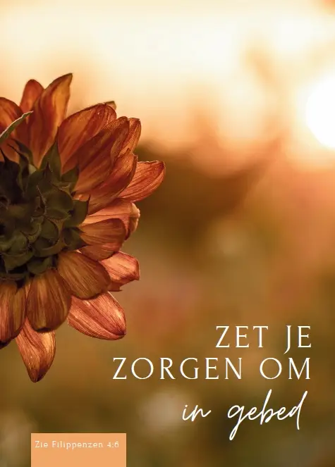 Wenskaart 50 jaar getrouwd