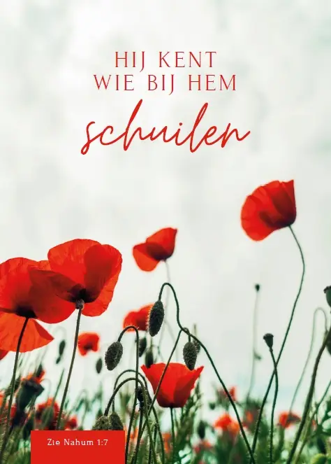 Wenskaart gefeliciteerd