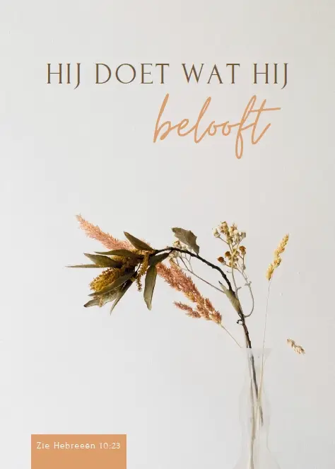 Wenskaart gefeliciteerd