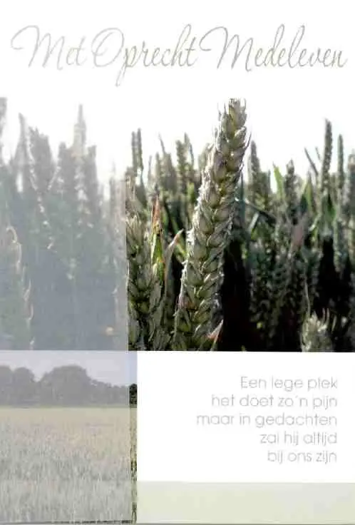 Wenskaart deelneming