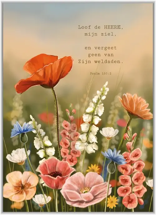 Enkele kaart ik schuil bij U