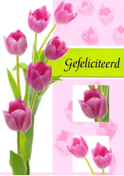 Wenskaart gefeliciteerd