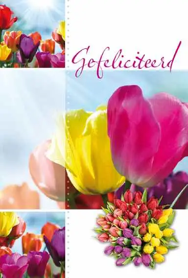 Wenskaart gefeliciteerd