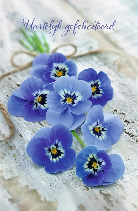 Wenskaart gefeliciteerd