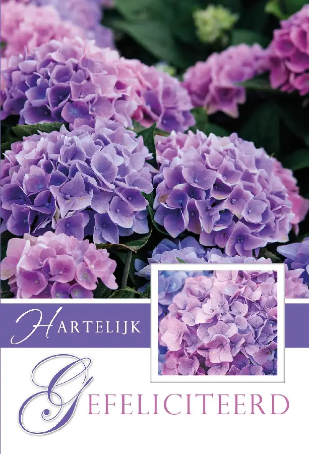 Wenskaart gefeliciteerd