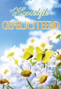 Wenskaart gefeliciteerd