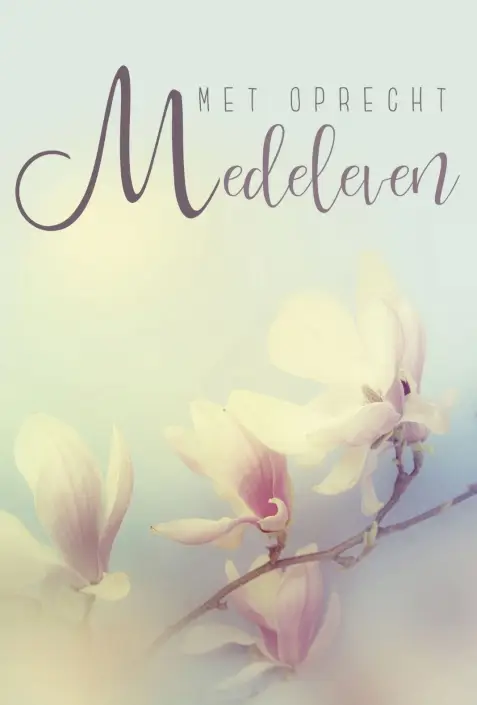 Wkrt dlnmg sterkte met dit grote verlies