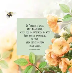 Wenskaart dank U, Heer