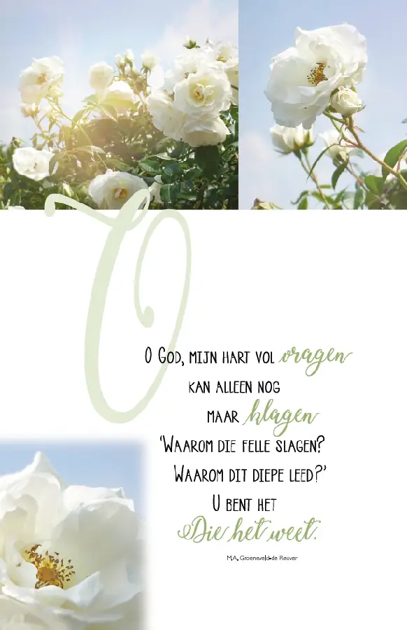 Wenskaart wonder van liefde