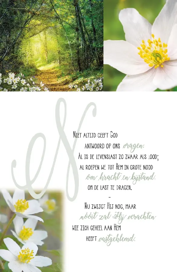 Wenskaart huil maar gerust