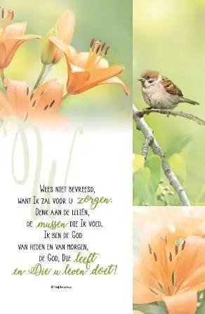 Wenskaart vaderliefde