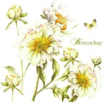 Wenskaart beterschap