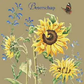 Wenskaart beterschap