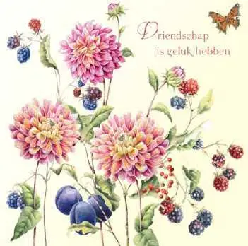 Wenskaart vriendschap