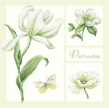 Wenskaart veel sterkte