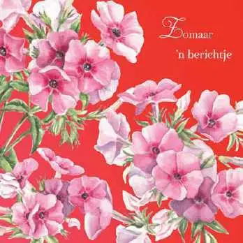 Wenskaart zomaar een berichtje