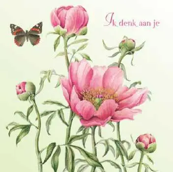 Wenskaart ik denk aan je