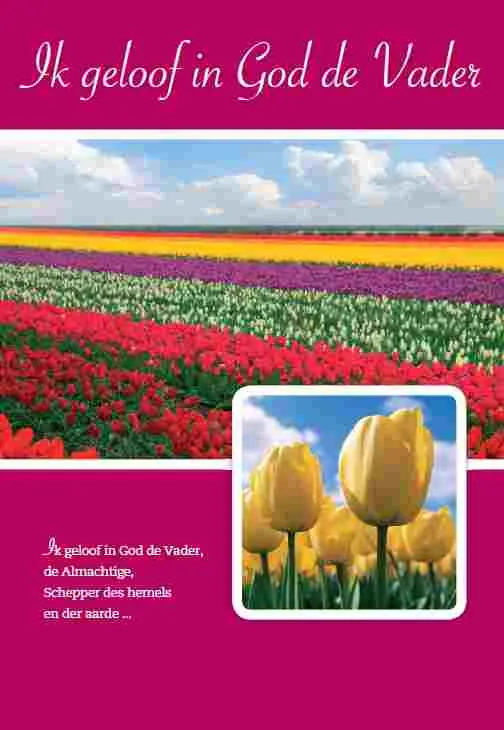 Wenskaart geloof/belijdenis