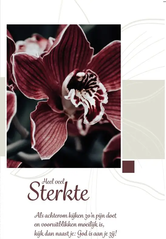 Wenskaart een blad valt