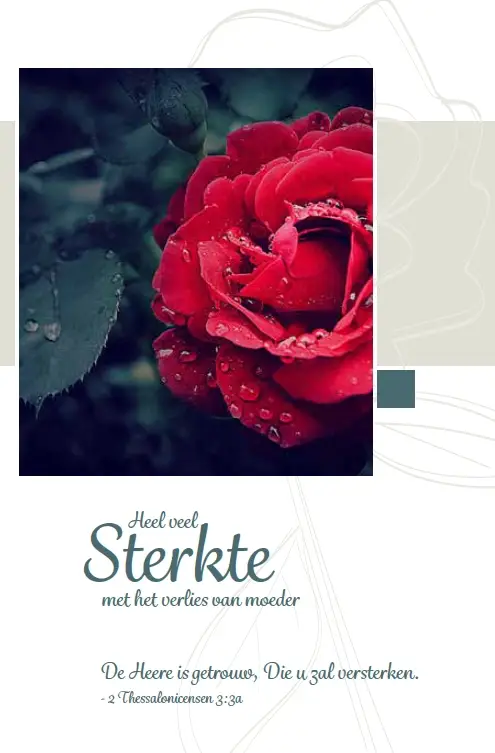 Wenskaart alle steun