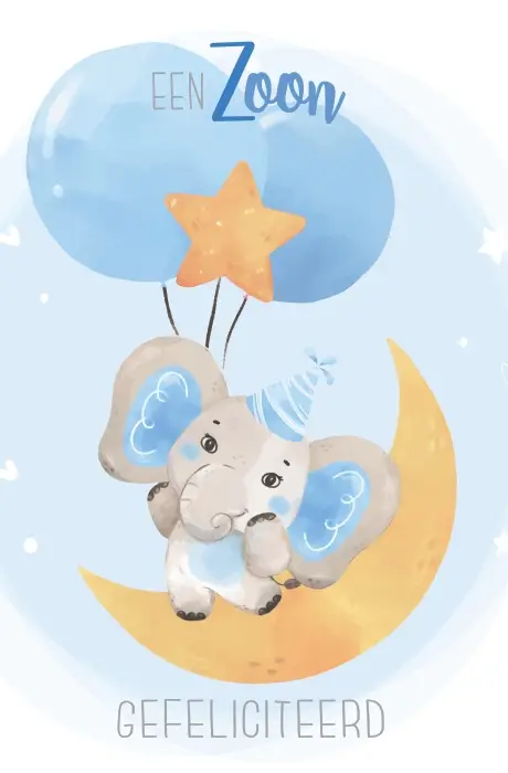 Wenskaart geboorte zoon