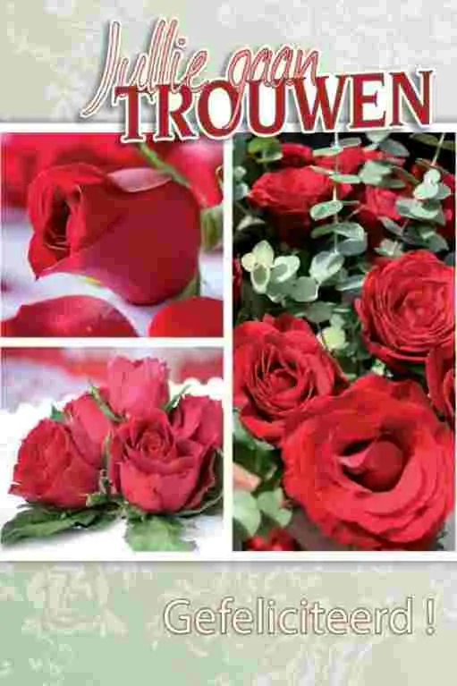 Wenskaart jullie gaan trouwen