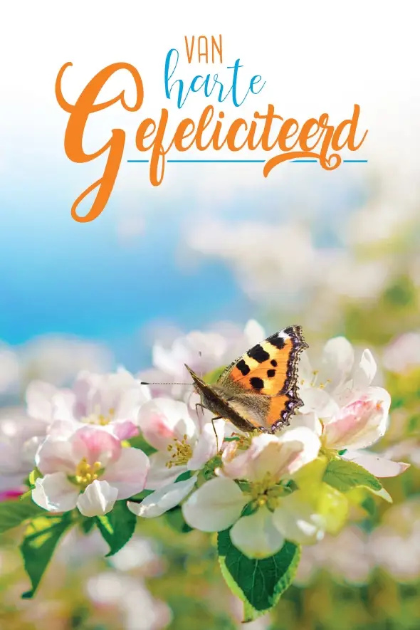 Wenskaart gefeliciteerd
