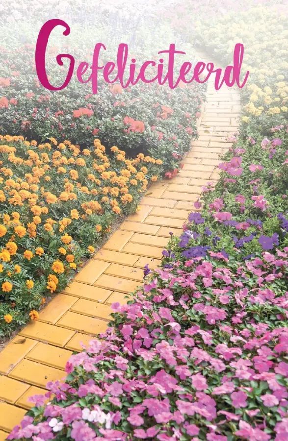 Wenskaart gefeliciteerd