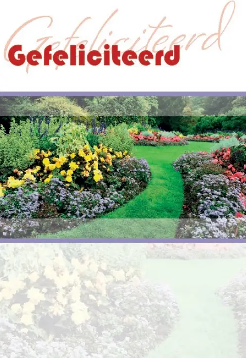 Wenskaart gefeliciteerd