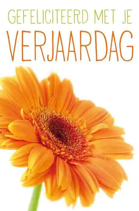 Wenskaart gefeliciteerd