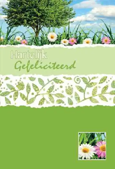 Wenskaart gefeliciteerd