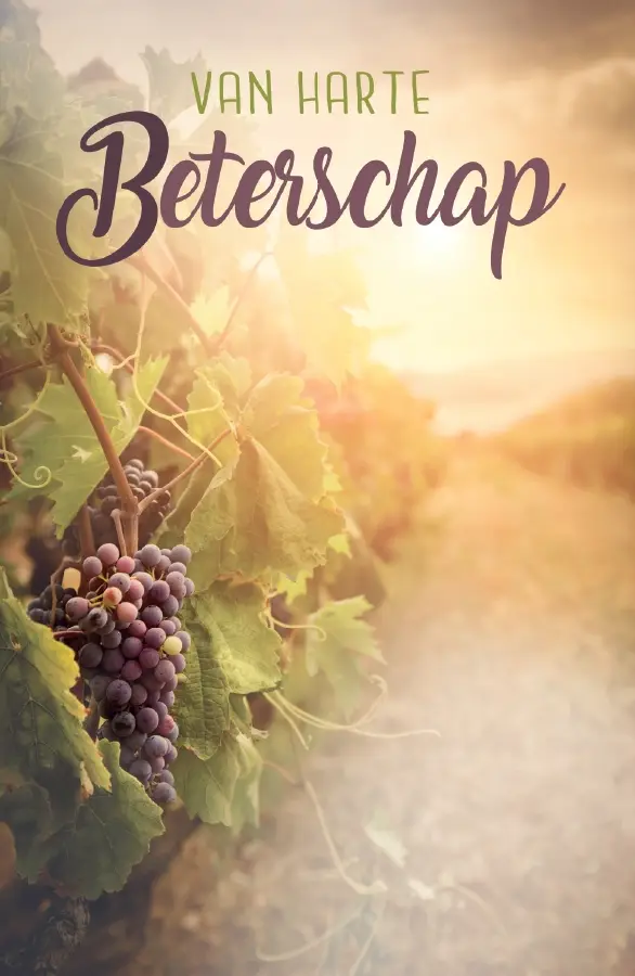 Wenskaart beterschap