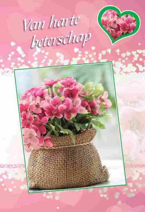 Wenskaart beterschap