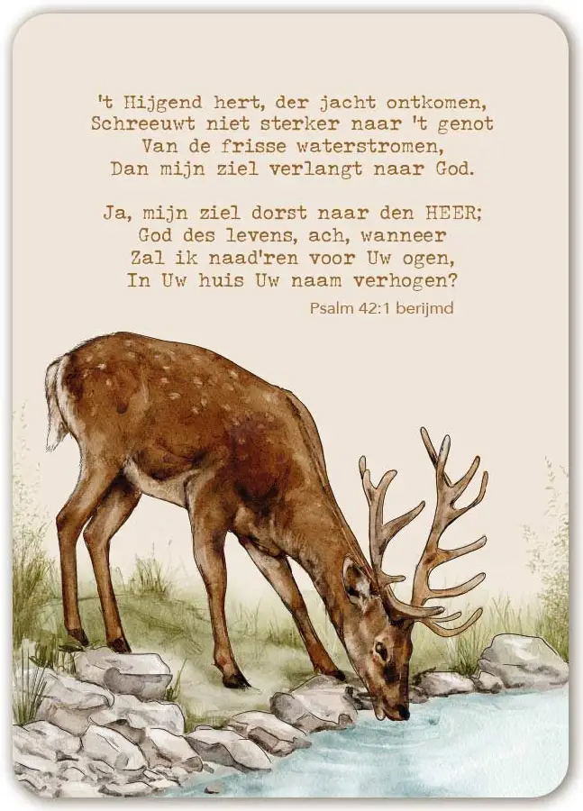 A friend is one of the nicest