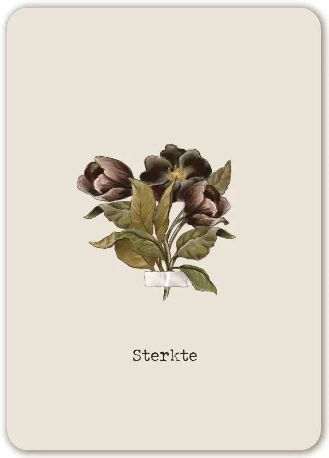 Je bent een parel in Gods hand