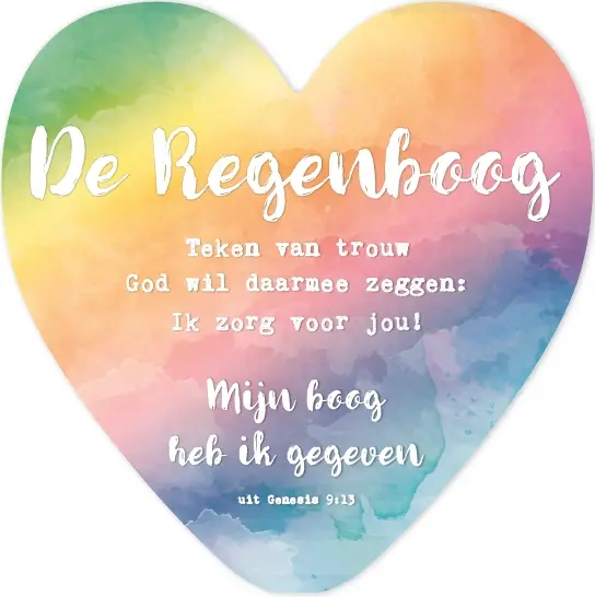 De regenboog