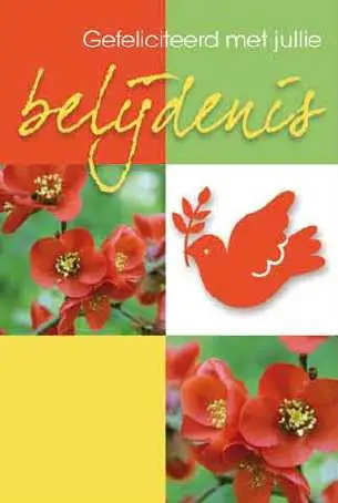 Wenskaart Gefeliciteerd met jullie Belijdenis