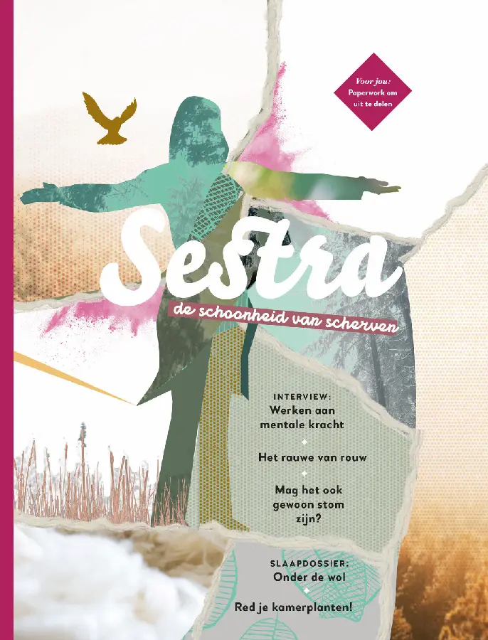 Schoonheid van scherven