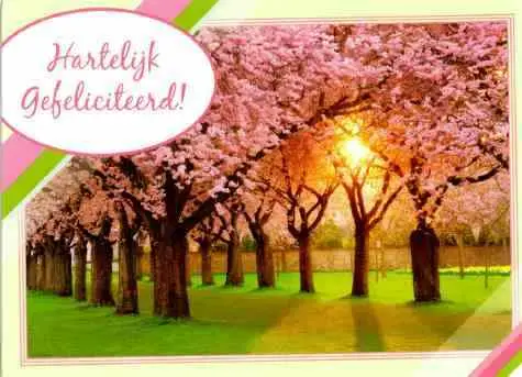Prentbriefkaart gefeliciteerd