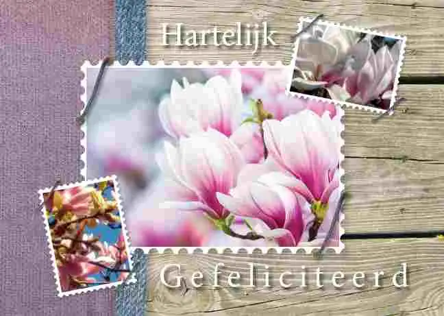 Prentbriefkaart gefeliciteerd