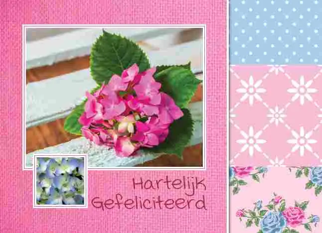 Prentbriefkaart gefeliciteerd
