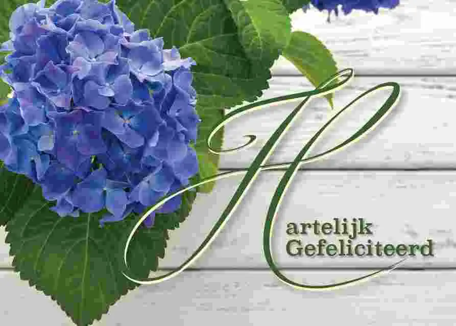 Prentbriefkaart gefeliciteerd