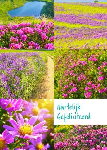 Prentbriefkaart gefeliciteerd