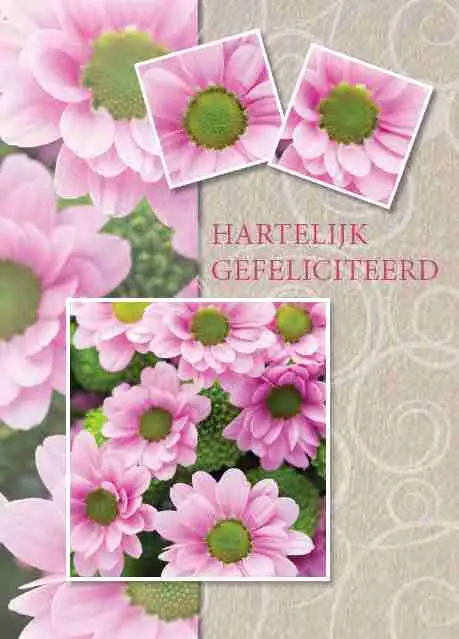 Prentbriefkaart gefeliciteerd