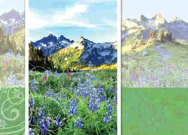 Prentbriefkaart blanco