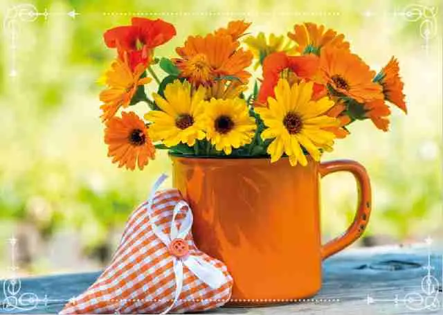 Prentbriefkaart blanco