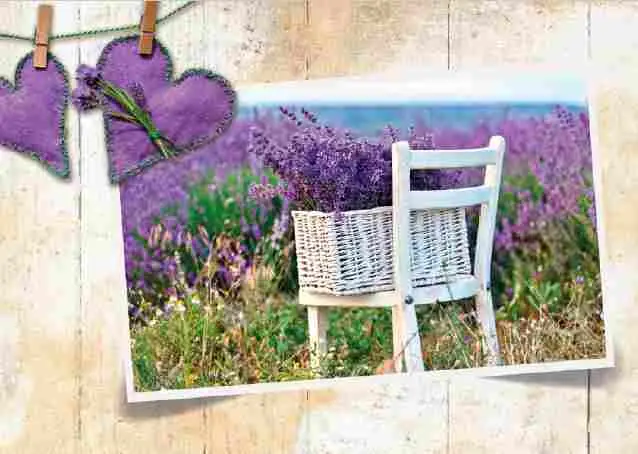 Prentbriefkaart blanco