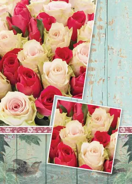 Prentbriefkaart blanco