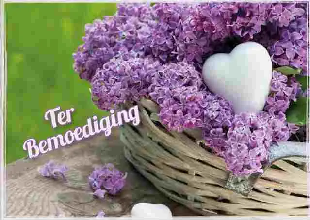 Prentbriefkaart bemoediging
