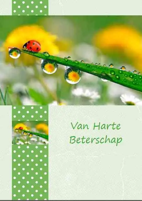Prentbriefkaart beterschap